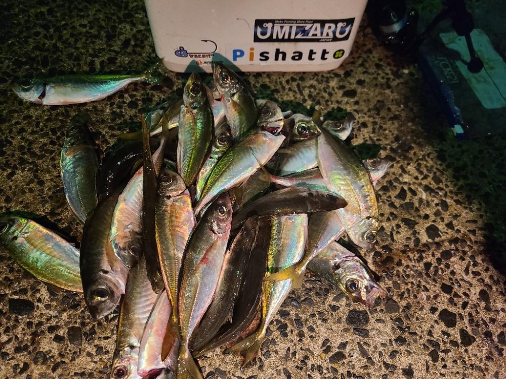 イベント更新に向けて🎵