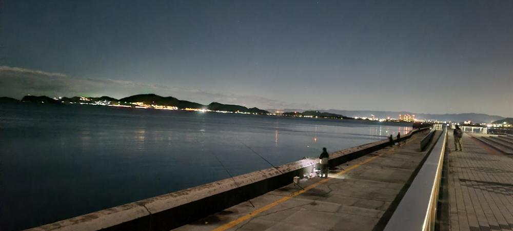 安定のマリーナシティ〜