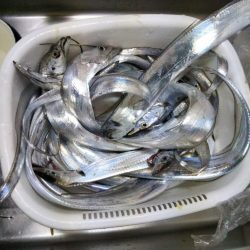 そろそろ終盤かな…？