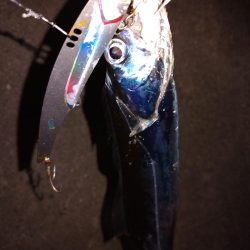 ショアジギング