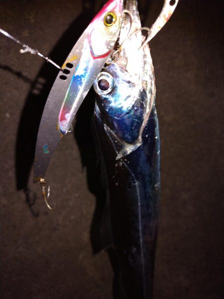 ショアジギング