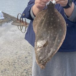 ざぶとんイシガレイ!