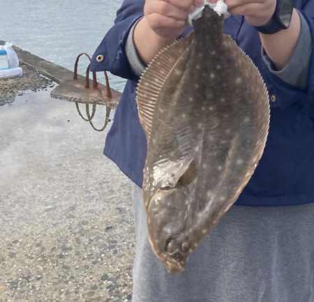 ざぶとんイシガレイ!