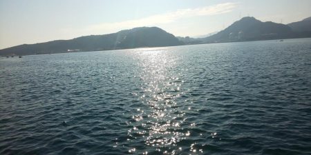 アジ全く釣れず。