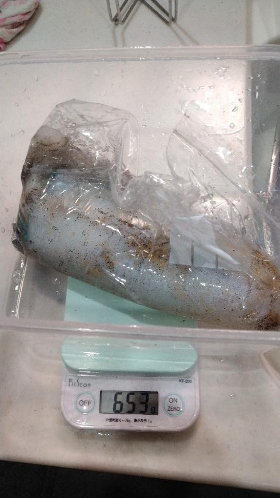 ティップラン初挑戦でアオリ