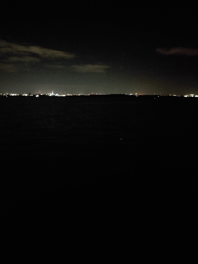 久々にタチウオ