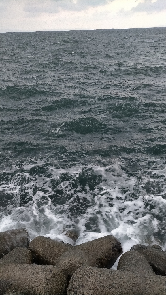 50センチクラスがポツポツ