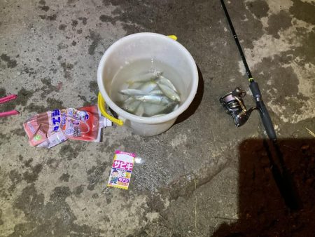 夜中のアジ釣