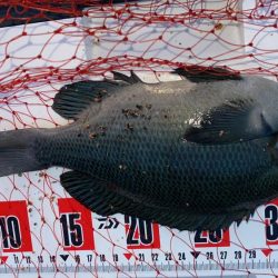 小豆島波止フカセ釣り