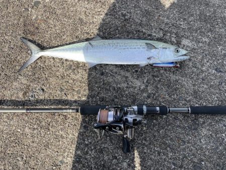 アジングのちショアジギ