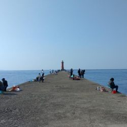 僅かな時合いを捉える事が出来ました