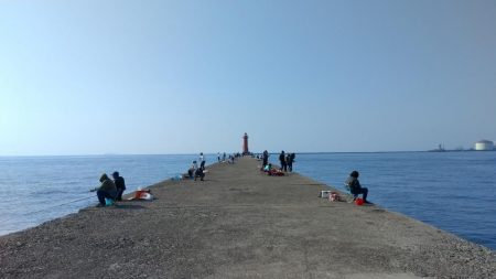 僅かな時合いを捉える事が出来ました