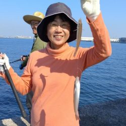 良型キスが揃いました