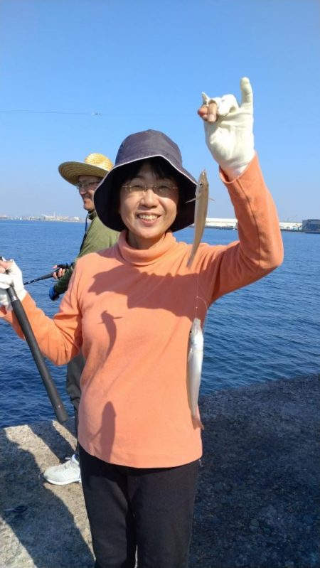 良型キスが揃いました