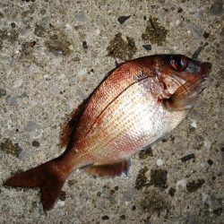 気分を変え場所を変え