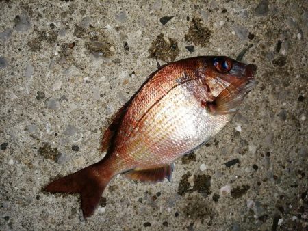 気分を変え場所を変え