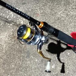 2023/11/13 南港ライトゲーム釣行 (小アジ狙い)