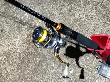 2023/11/13 南港ライトゲーム釣行 (小アジ狙い)