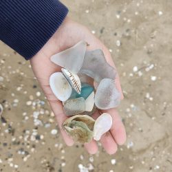 昼間だから釣れないわ