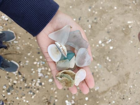昼間だから釣れないわ