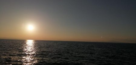 大潮の日の青物