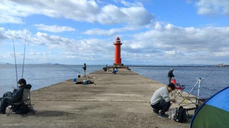 播磨新島のキス調査