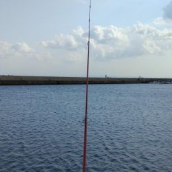 ラスト淡路釣行