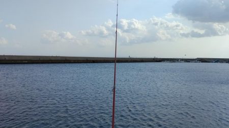 ラスト淡路釣行