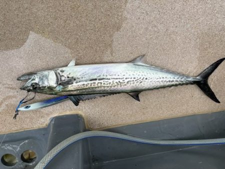 丹後半島沖ジギング船爆釣