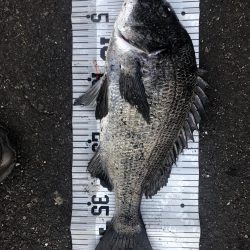 イチノ兄弟、釣果!