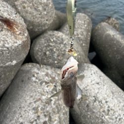 まだいました！