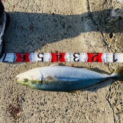 やっと釣れた^_^