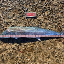 大満足^_^の釣行