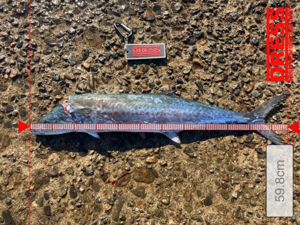 大満足^_^の釣行