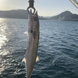 祭りに参戦出来ず