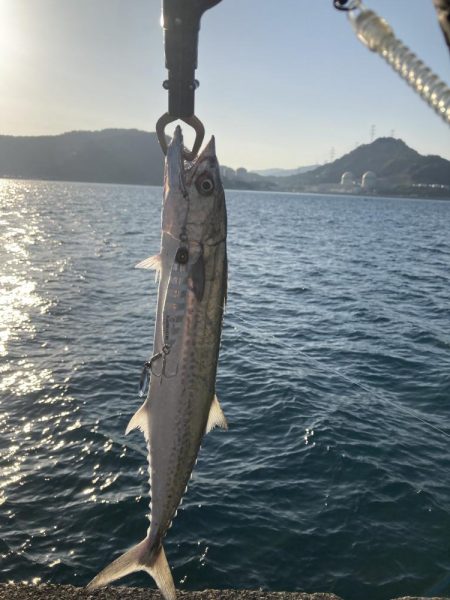 祭りに参戦出来ず