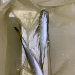 イベント釣行 3