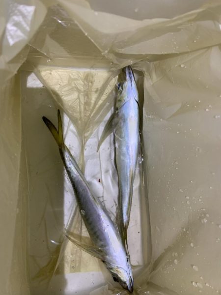 イベント釣行 3