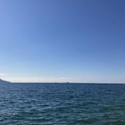 コッパの数釣り