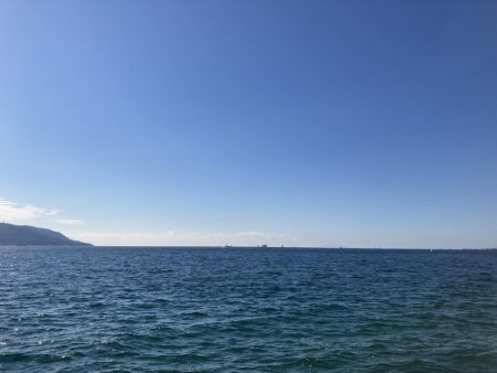 コッパの数釣り