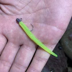 アジングイベント3