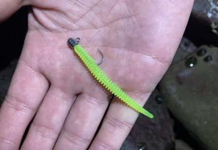 アジングイベント3