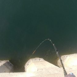 スリットから引きずり出す！