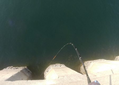 スリットから引きずり出す！