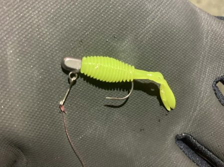 アジングイベント釣果