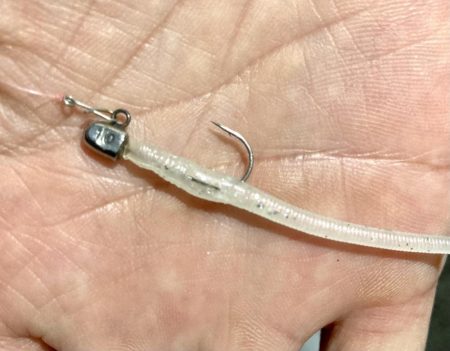 アジングイベント釣果