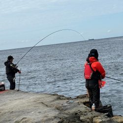 和歌山市江(吉丸渡船)でグレ釣り