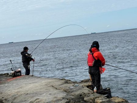 和歌山市江(吉丸渡船)でグレ釣り