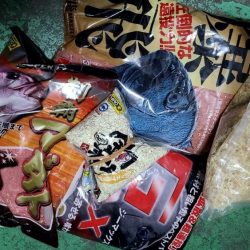 和歌山市江(吉丸渡船)で磯フカセ