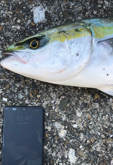 播磨新島の飲ませ釣り